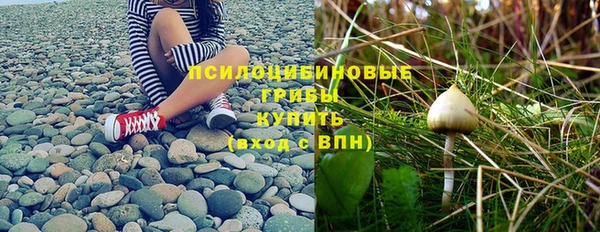 мет Абаза