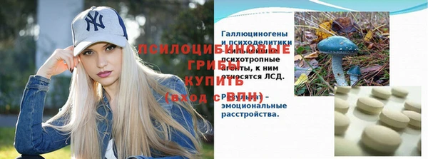 мет Абаза
