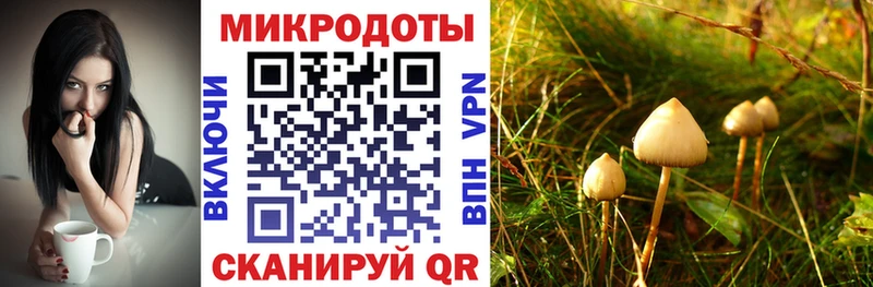 где продают наркотики  блэк спрут ТОР  Галлюциногенные грибы MAGIC MUSHROOMS  даркнет наркотические препараты  Александров 