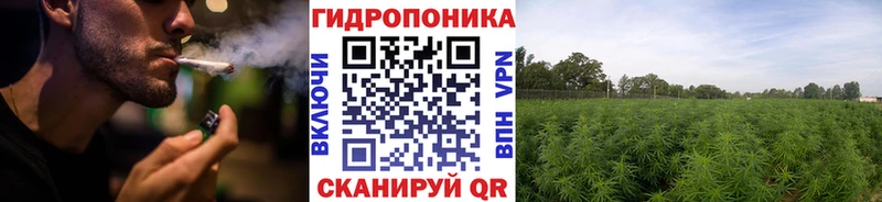 Шишки марихуана планчик хочу наркоту Александров